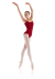 Leo's Adult Camisole Leotard- LD006LM