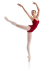 Leo's Adult Princess Seamed Camisole Leotard- LD010LM