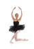 Leo's Adult Professional Tutu- LD138LT